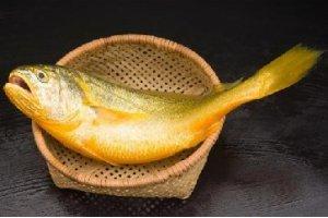 這幾種魚都很像大黃魚，到底哪一種才是大黃魚？
